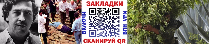 Какие есть наркотики Кущёвская Гашиш  A-PVP  COCAIN  АМФЕТАМИН  кракен как зайти  Меф  Каннабис 
