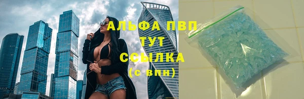 бошки Богданович