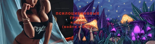 бошки Богданович