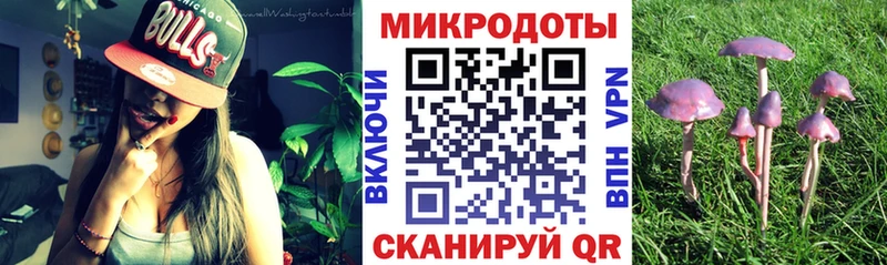 Галлюциногенные грибы GOLDEN TEACHER  omg рабочий сайт  Кущёвская 